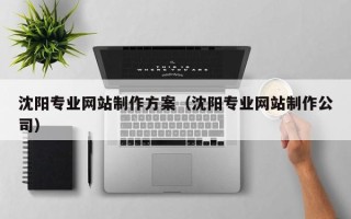 忻州沈阳专业网站制作方案（沈阳专业网站制作公司）